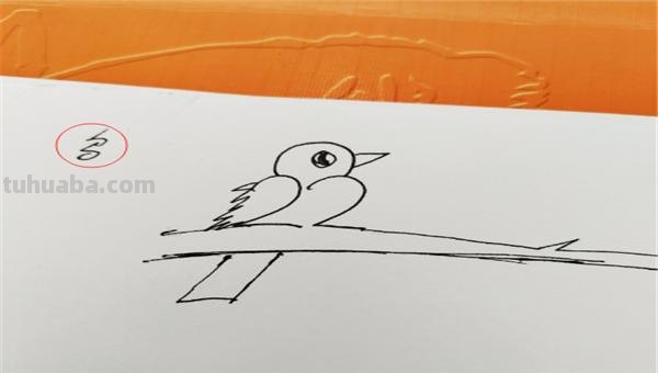 怎么画鸟的简笔画图片 小鸟简笔画怎么画？