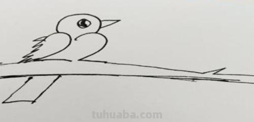 怎么画鸟的简笔画图片 小鸟简笔画怎么画？