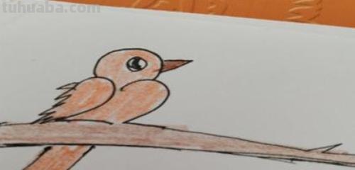 怎么画鸟的简笔画图片 小鸟简笔画怎么画？