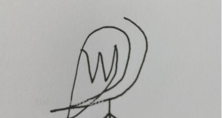 怎么画鸟的简笔画图片 小鸟简笔画怎么画？