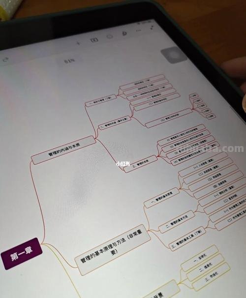 思维导图考核要点怎么写 xmind思维导图怎么标重点?