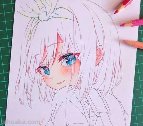 画动漫要买什么彩铅颜料 如果是画动漫人物的话用哪一种上色好?买多少色的?
