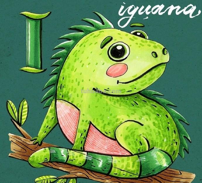 可爱的动物简笔画，亲子活动素材