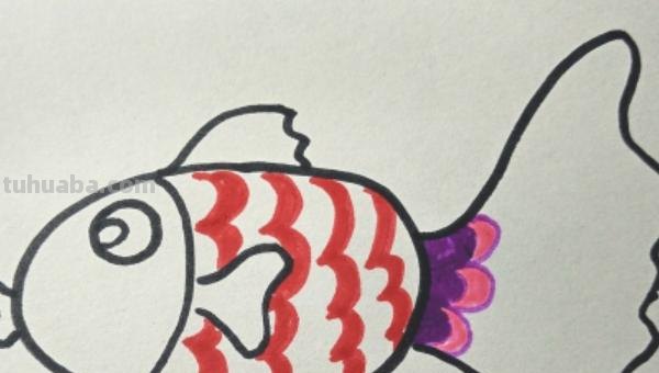 金鱼怎么画简笔画图片大全 儿童简笔画：可爱小金鱼的画法？