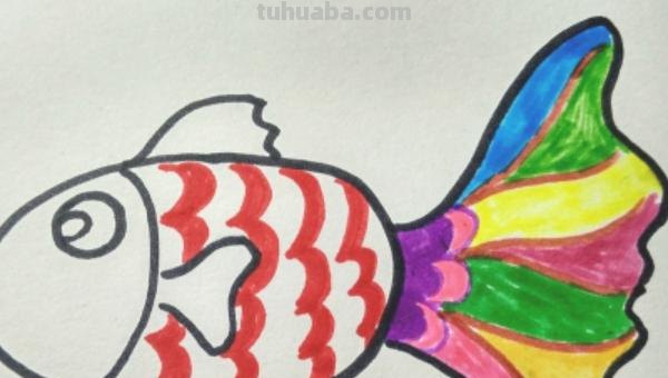 金鱼怎么画简笔画图片大全 儿童简笔画：可爱小金鱼的画法？
