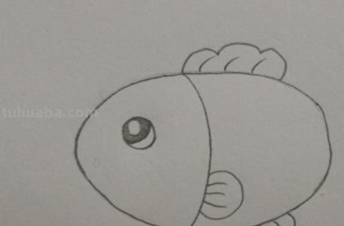 金鱼怎么画简笔画图片大全 儿童简笔画：可爱小金鱼的画法？