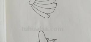 一根香蕉怎么画简笔画 香蕉的简笔画的画法？