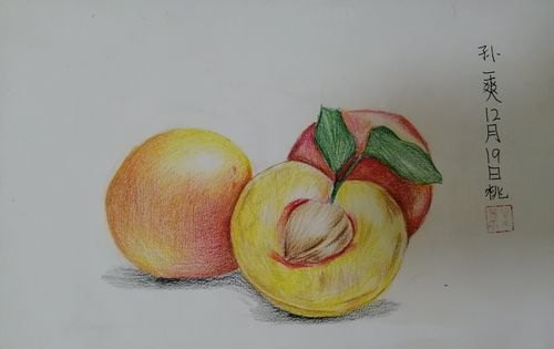 美术考级用什么彩铅画 初中学生美术用什么彩铅？