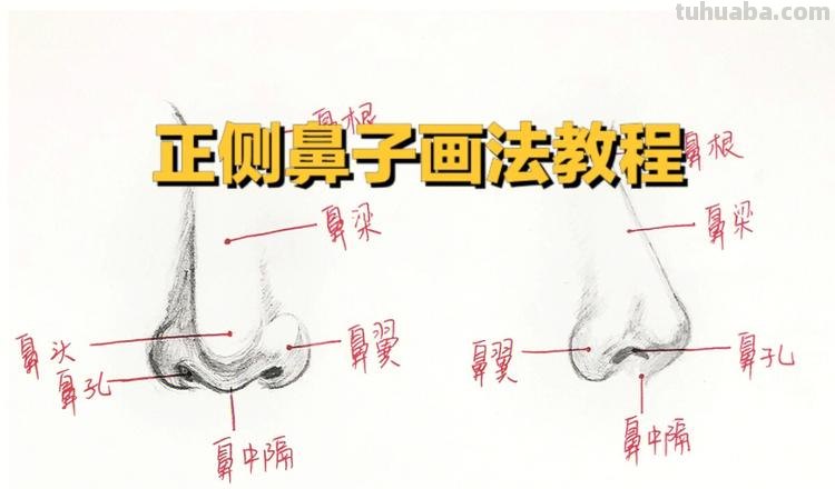 鼻子怎么画 鼻子怎么画简单又漂亮