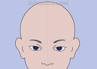 怎样画鼻子