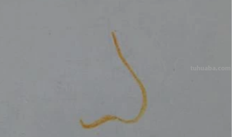 画鼻子怎么画