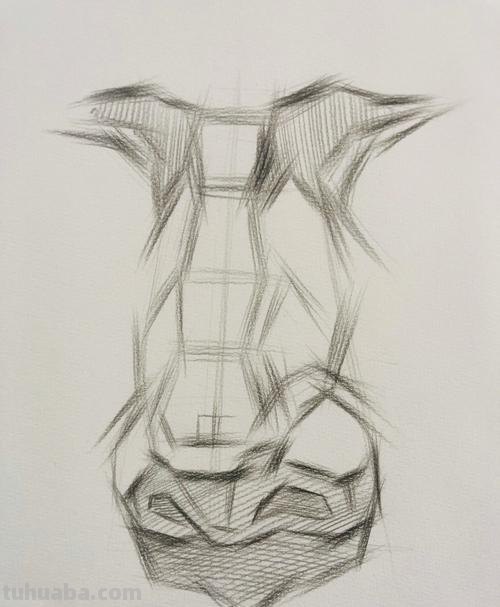 素描鼻子 素描鼻子的画法