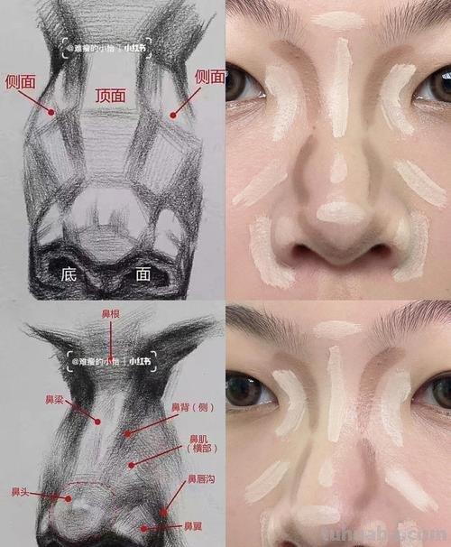 素描鼻子 素描鼻子的画法