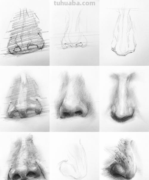 素描鼻子 素描鼻子的画法