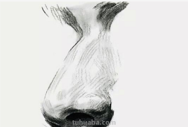素描鼻子的画法