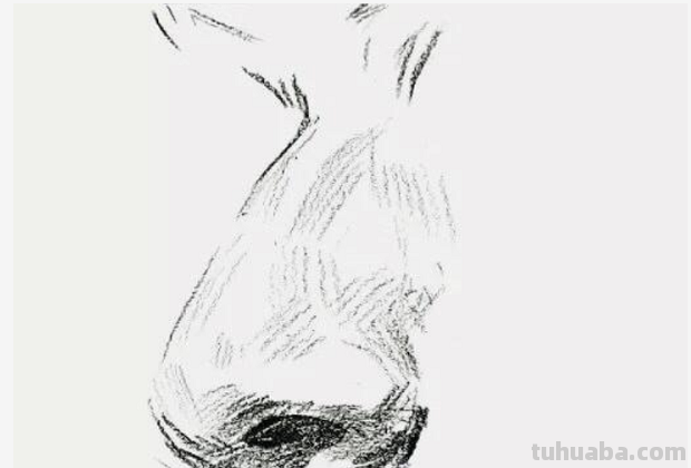 鼻子素描画法