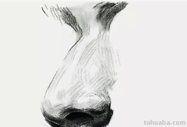 鼻子素描画法