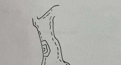 树屋怎么画简笔画图片 如何画古树和茅屋简笔画？