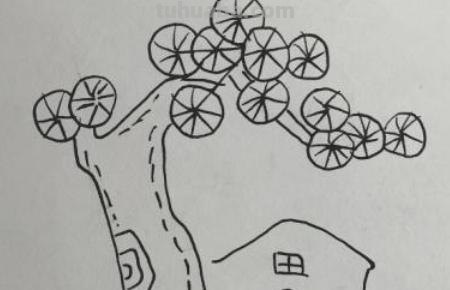 树屋怎么画简笔画图片 如何画古树和茅屋简笔画？