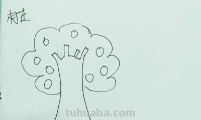 树屋怎么画简笔画图片 如何画古树和茅屋简笔画？