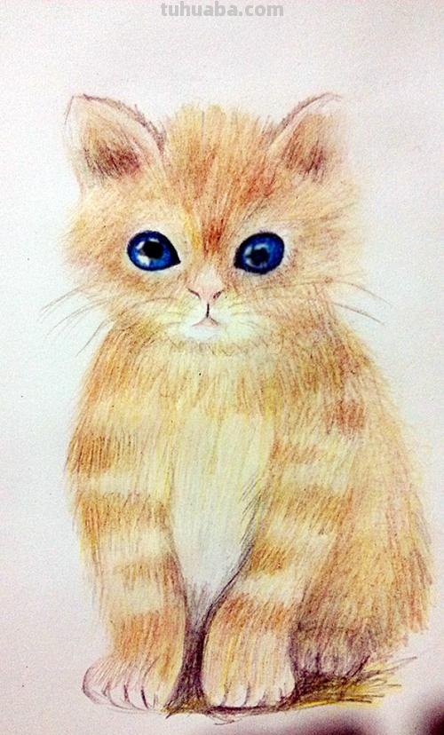 小猫背影怎么画彩铅颜色 彩色铅笔画可爱的小猫咪的教程详细步骤?