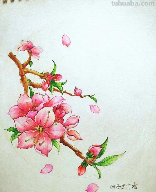 彩铅古风桃花树怎么画 只用紫色、绿色、蓝色彩笔不用其他东西画一幅桃花树?