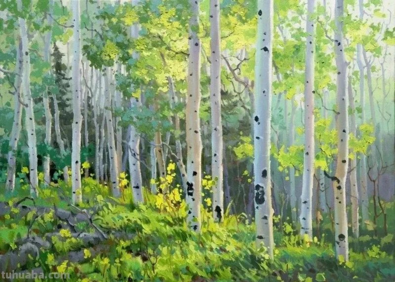 韩国画家加里·金风景油画作品专辑