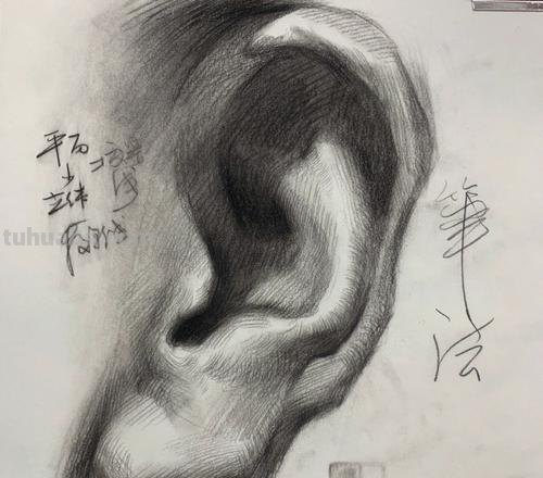 素描耳朵 素描耳朵怎么画