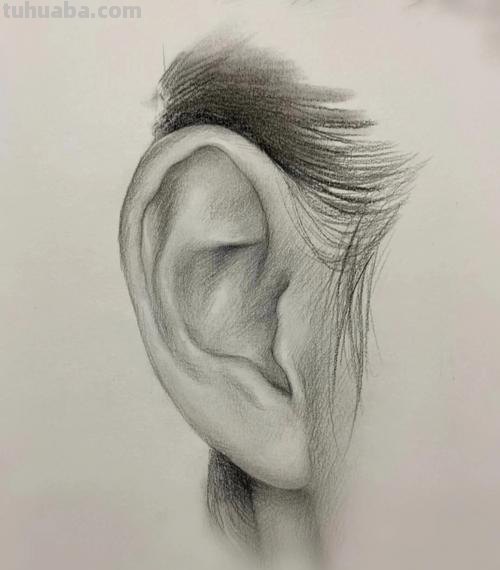 素描耳朵 素描耳朵怎么画