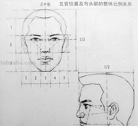 画素描头像怎样找耳朵的位置?