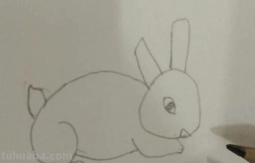 小白兔的简笔画怎么画 可爱小兔子简笔画怎么画？