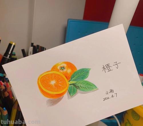 怎么画彩铅橙子和橘子 橙子怎么画？