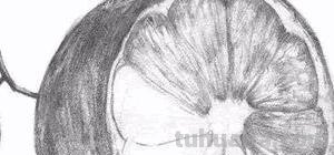 怎么画彩铅橙子和橘子 橙子怎么画？