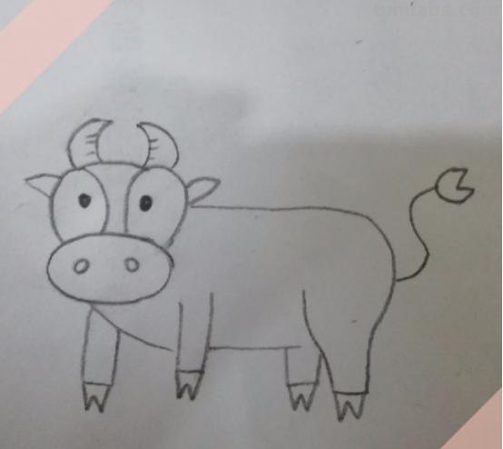 怎么画牛的简笔画图片 儿童简笔画（11）牛的画法？