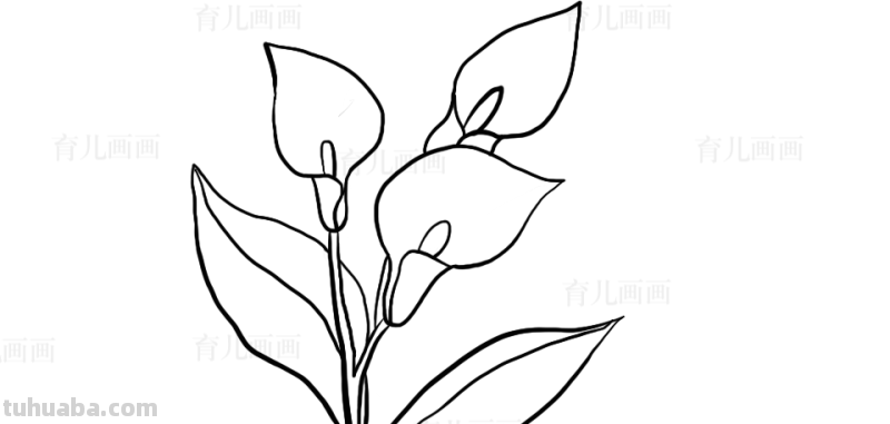 植物、花草、树叶、水果、蔬菜简笔画大全、喜欢画画的宝贝收藏