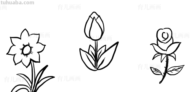 植物、花草、树叶、水果、蔬菜简笔画大全、喜欢画画的宝贝收藏