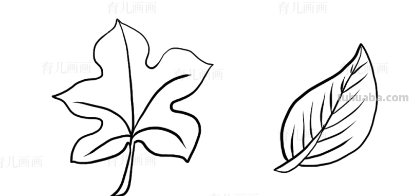 植物、花草、树叶、水果、蔬菜简笔画大全、喜欢画画的宝贝收藏