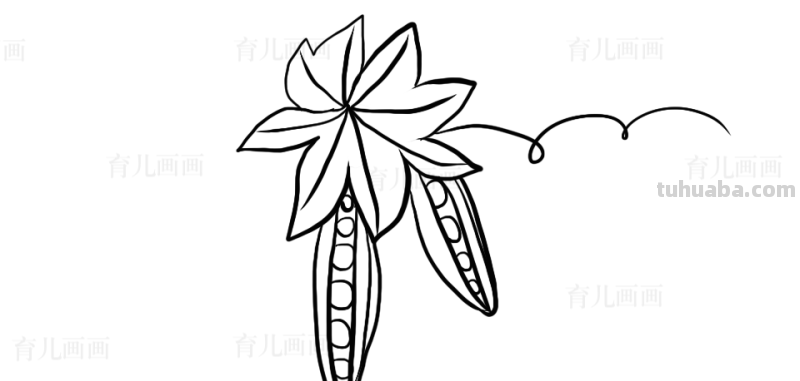 植物、花草、树叶、水果、蔬菜简笔画大全、喜欢画画的宝贝收藏