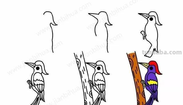 超有爱的小动物简笔画2