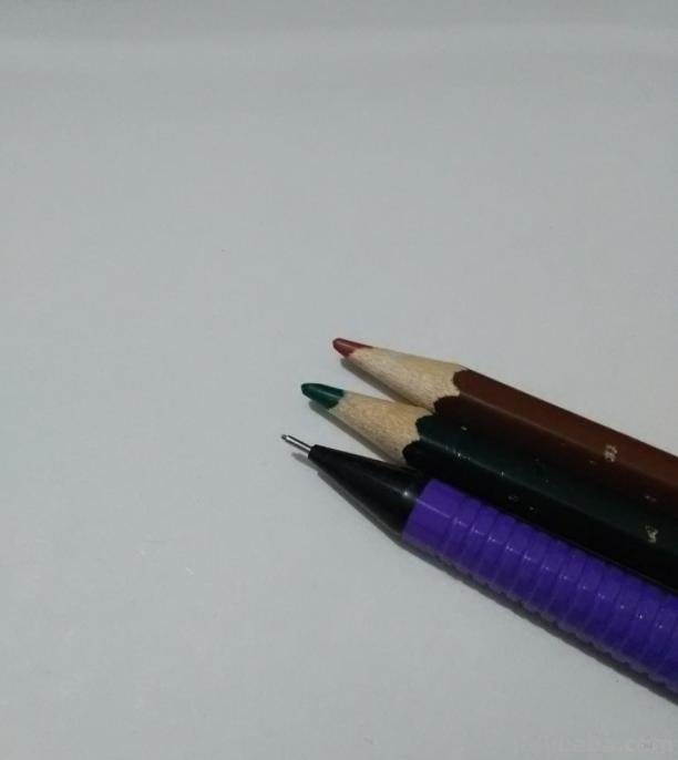 华棕树速写 棕榈树怎么画？