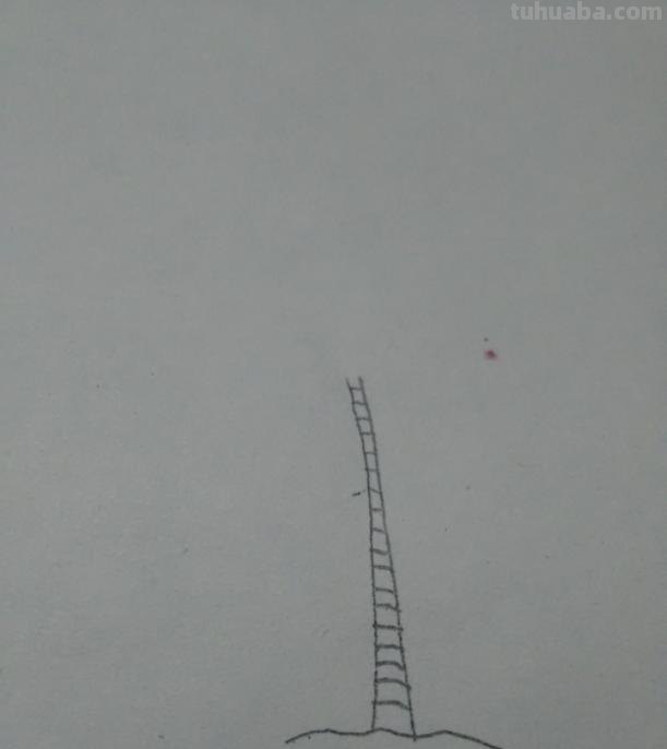 华棕树速写 棕榈树怎么画？