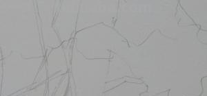华棕树速写 棕榈树怎么画？