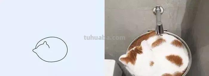 这波动物简笔画爆红网络：神还原，一看就会！都说我是写实派
