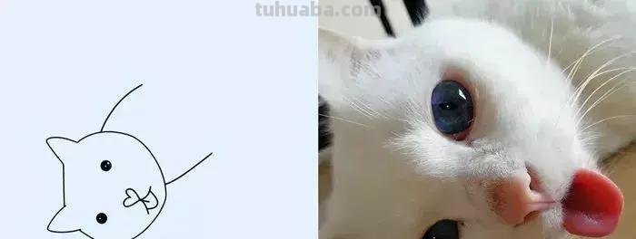 这波动物简笔画爆红网络：神还原，一看就会！都说我是写实派