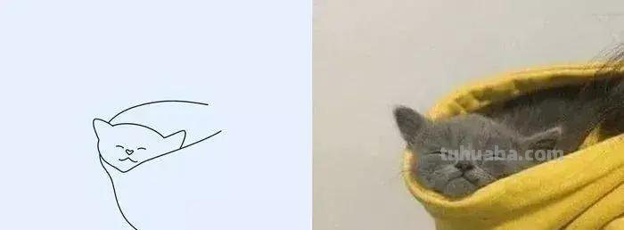 这波动物简笔画爆红网络：神还原，一看就会！都说我是写实派