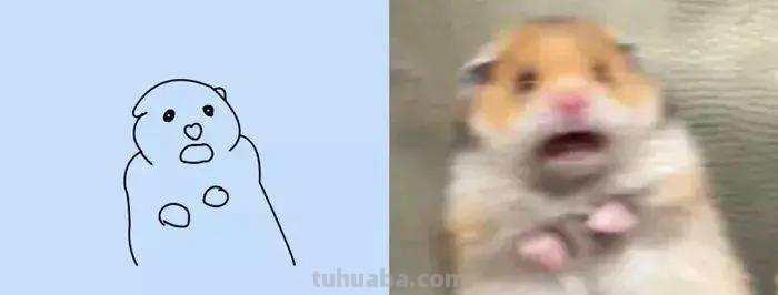 这波动物简笔画爆红网络：神还原，一看就会！都说我是写实派