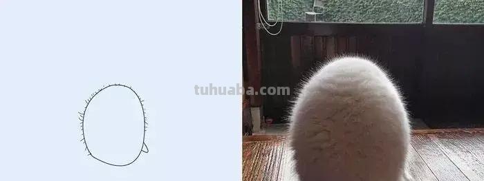 这波动物简笔画爆红网络：神还原，一看就会！都说我是写实派