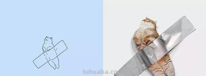 这波动物简笔画爆红网络：神还原，一看就会！都说我是写实派