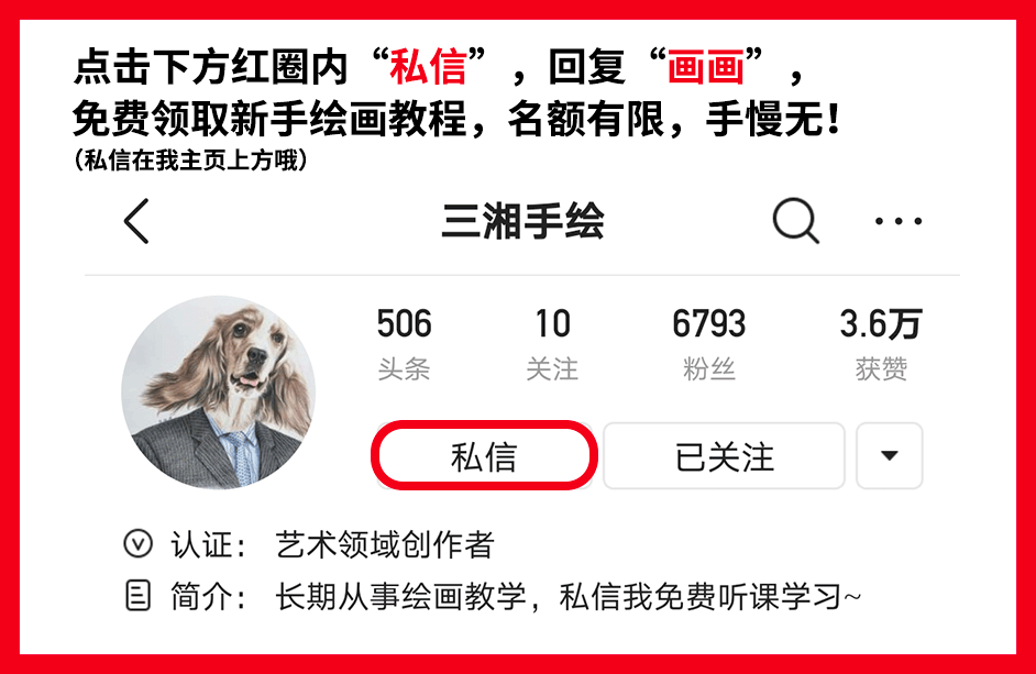 这波动物简笔画爆红网络：神还原，一看就会！都说我是写实派