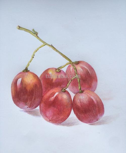 彩铅简笔画怎么画水果 彩铅画的最简单的水果？